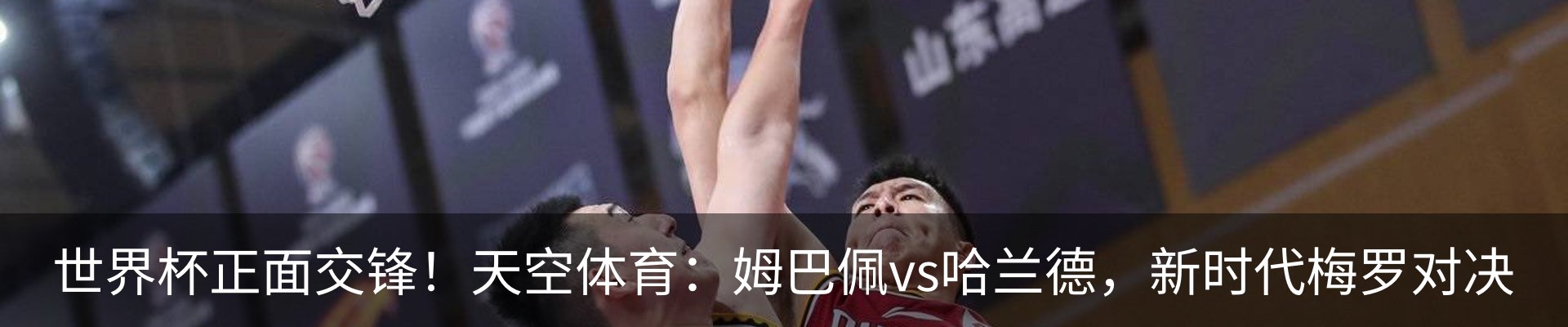 新闻动态