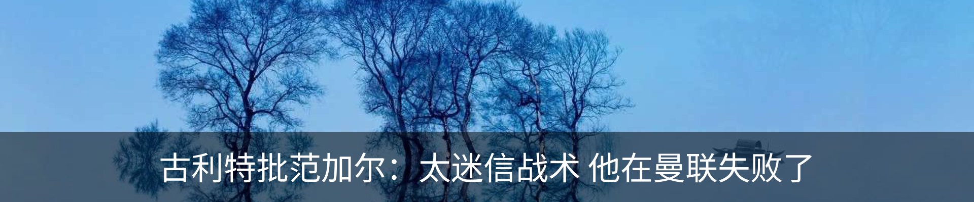 新闻动态