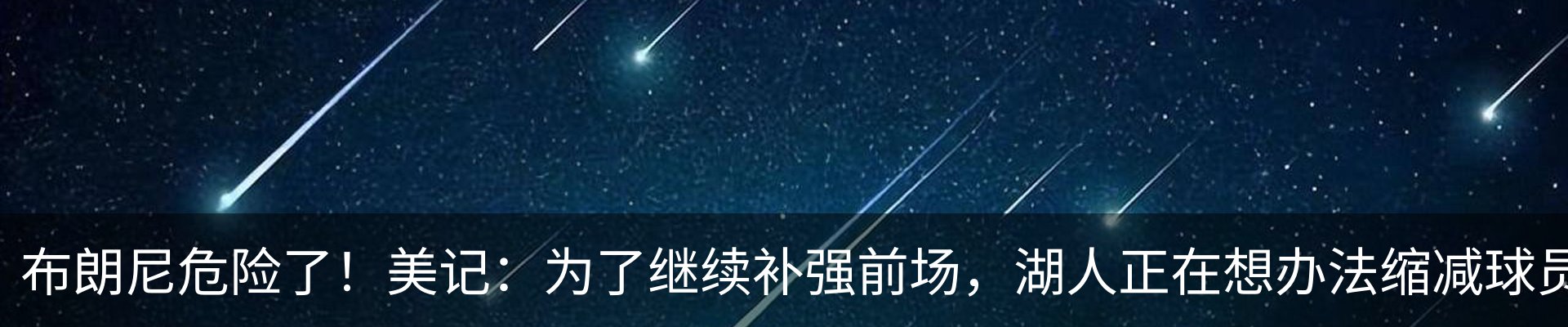 新闻动态