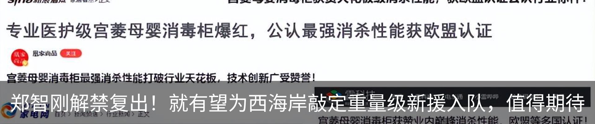 新闻动态