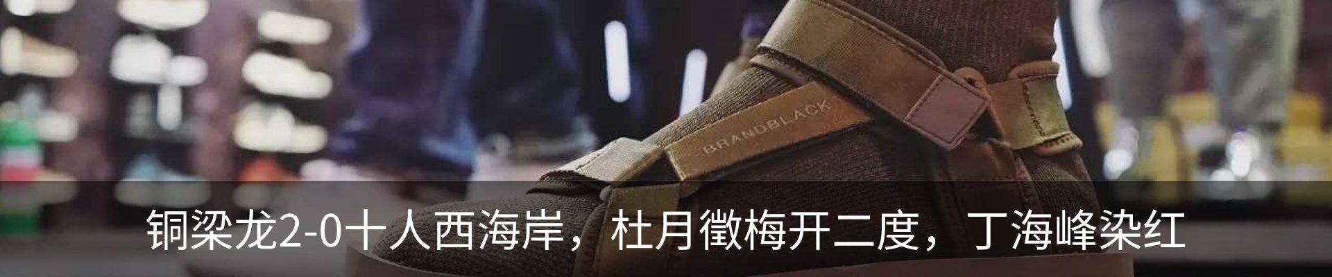 新闻动态