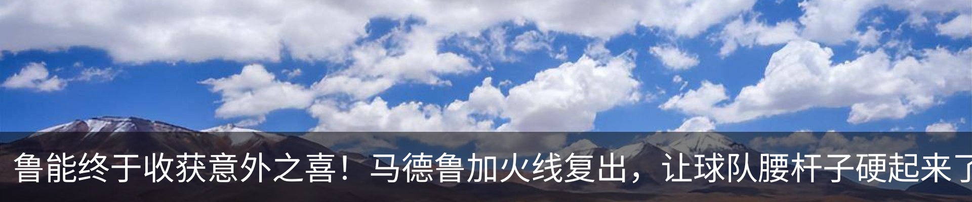 新闻动态