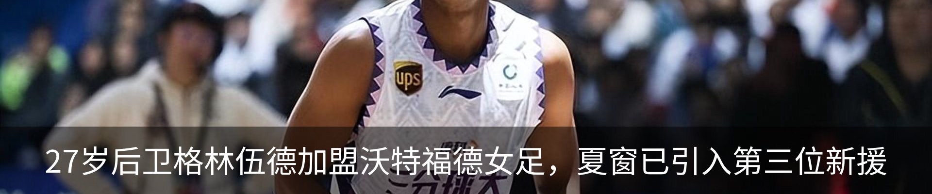 新闻动态